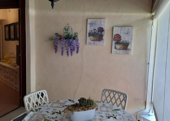 Il Cigno *